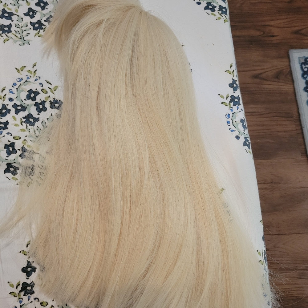 Blonde Wig